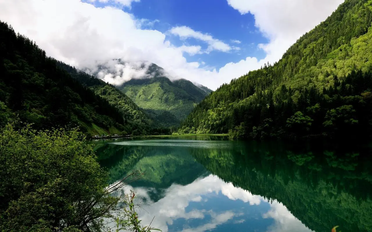 高效创新